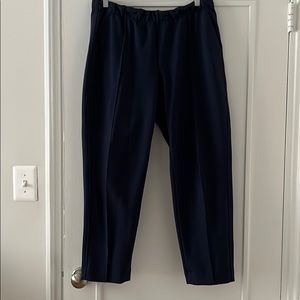 NWOT Everlane Dream Pants Navy Large